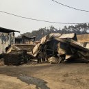 산불피해 이미지