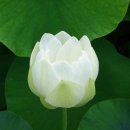 세간 - 부여군 자온로 82 | 세간