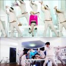 가인장식