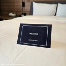 브라운도트 영일대해수욕장점 이미지