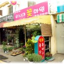 루시아꽃화원 이미지