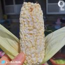 팝콘PC방 이미지