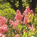 신매경로당 이미지