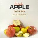 서율이네 | 청송 세척사과 후기｜가정용으로 부담 덜한 금서율네 못난이 꿀부사 후기