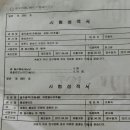 횡성참옻 이미지