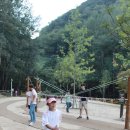 대흥동 유아숲체험원 네이버블로그