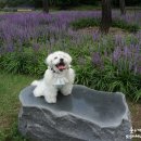 노송주유소 이미지