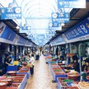 죽도시장 이미지