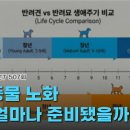 용성동물병원 데일리벳