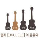 하와이 전통악기 우쿨렐레 이미지