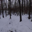 장자골로 이미지