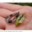 민들레샘물 지역아동센터 이미지