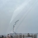 대천통나무소나무펜션 | [충남보령] 대천해수욕장펜션 추천 l 통나무 감성 가득한 대천나무내음펜션 숙박후기