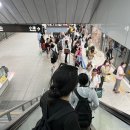 백우광고 이미지