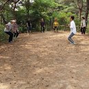 힐링숲 이미지