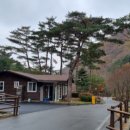 금봉자연휴양림 이미지