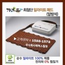 수목토일라이트 이미지