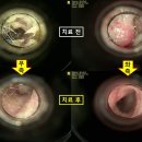 유기화동물의료센터 이미지