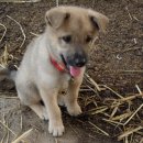 지연목장 이미지