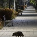 한울공원 화장실 이미지