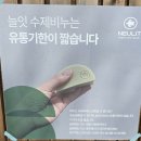 신선한집 | 경주여행기념품 늘잇 후기 | 신선한 비누집의 클렌징하기 좋은 사과비누 향기도 좋았다