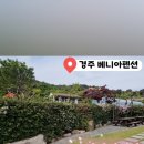 베니아펜션