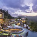 호텔정글(jungle) 이미지