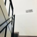 루이스24시동물병원 네이버블로그