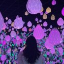 더강릉포레 이미지