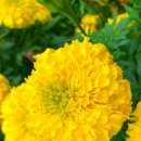 동해무릉건강숲 이미지