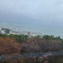 청사포와봄