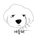 광남유치원 이미지