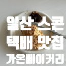 가온빌딩 | 가온베이커리 스콘 후기 에이블리 팝업 일산 맛집