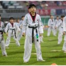 연세대 태권도 이미지