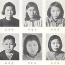 박춘녀 Daum카페