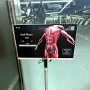 카인드짐 24시 휘트니스&스쿼시 이미지