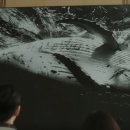 요나고래 이미지