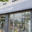 커몽도그 이미지