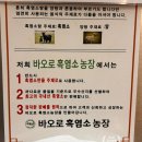 바오로 | 선릉역 고기집 '바오로흑염소 선릉점' 점심특선 바오로정식 할인혜택 후기