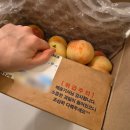복숭아택배 추천 후기 (과즙/맛 설명)