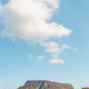 (주)파란제주 이미지