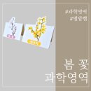 우주과학유치원어린이집 | 유치원 어린이집 과학영역 환경구성 봄꽃 관찰자료