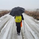 취평리 정류장 이미지