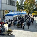 동고동락 이미지