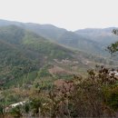 오두목장 이미지