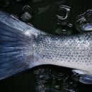 간석종합시장 이미지