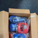 ws복싱클럽 | WS복싱클럽에서^^ 은평구 역촌동/구산동/대조동/갈현동 정통복싱 다이어트복싱 키즈복싱 WS복싱클럽!