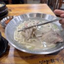 언양닭칼국수 - 경주시 양정로290번길 3 | 언양닭칼국수