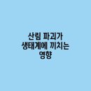 영향 이미지