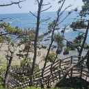 스테이사룡 이미지